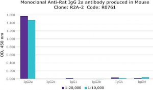 Monoclonal Anti-Rat IgG2a antibody produced in mouse R0761-.2ML