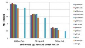 Rabbit Anti-Mouse IgG Antibody, clone RM104 4-1643