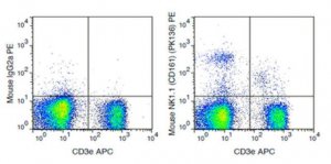 Anti- CD161 (NK1.1) (mouse), PE, clone PK136 Antibody 