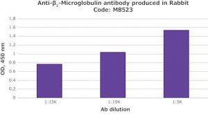 Anti-2-Microglobulin antibody produced in rabbit 