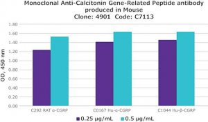 Anti-Calcitonin Gene-Related Peptide antibody, Mouse monoclonal 