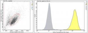 Anti-CCR5 (CD195) Antibody, clone HEK/1/85a/7a 