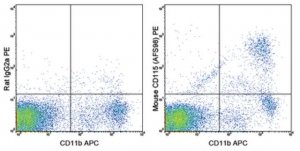 Anti-CD115 (c-fms) Antibody (mouse), PE, clone AFS98 MABF508