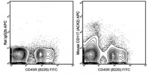 Anti-CD117 (c-Kit) Antibody (mouse), APC, clone ACK2 MABF510
