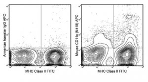 Anti-CD11c Antibody (mouse), APC, clone N418 MABF526