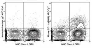 Anti-CD11c Antibody (mouse), APC-Cy7, clone N418 MABF527