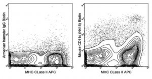 Anti-CD11c Antibody (mouse), Biotin, clone N418 MABF528
