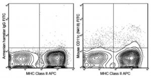 Anti-CD11c Antibody (mouse), FITC, clone N418 MABF530