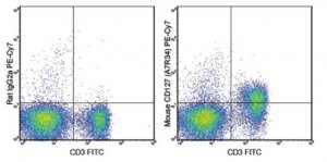 Anti-CD127 (IL-7Ra) Antibody (mouse), PE-Cy7, clone A7R34 MABF540