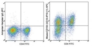 Anti-CD152 (CTLA-4) Antibody (mouse), APC, clone UC10-4F10-11 MABF545