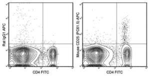 Anti-CD25 Antibody (mouse), APC, clone PC61.5 MABF548