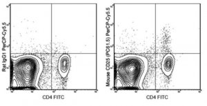 Anti-CD25 Antibody (mouse), PerCP-Cy5.5, clone PC61.5 MABF550