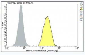 Anti-CD33 Antibody, clone P67.6 