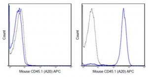 Anti-CD45.1 Antibody (mouse), APC, clone A20 MABF585