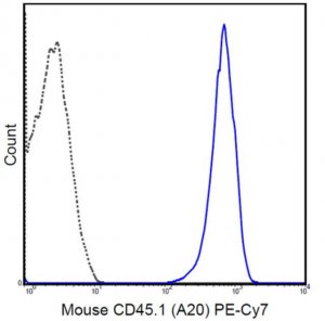 Anti-CD45.1 Antibody (mouse), PE-Cy7, clone A20 MABF591