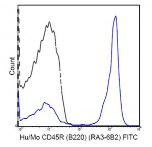 Anti-CD45R (B220) Antibody (human/mouse), FITC, clone RA3-6B2 MABF608