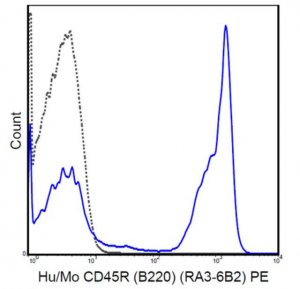 Anti-CD45R (B220) Antibody (human/mouse), PE, clone RA3-6B2 MABF602