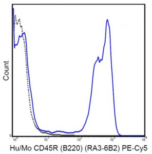 Anti-CD45R (B220) Antibody (human/mouse), PE-Cy5, clone RA3-6B2 MABF603