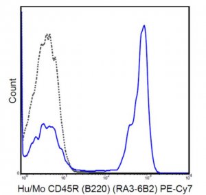 Anti-CD45R (B220) Antibody (human/mouse), PE-Cy7, clone RA3-6B2 MABF604