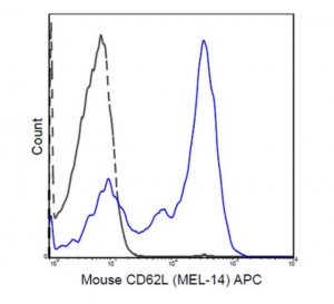 Anti-CD62L (L-Selectin) Antibody (mouse), APC, clone MEL-14 MABF715