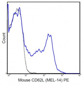 Anti-CD62L (L-Selectin) Antibody (mouse), PE, clone MEL-14 MABF716