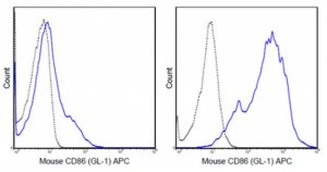 Anti-CD86 (B7-2) Antibody (mouse), APC, clone GL-1 MABF723