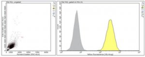 Anti-CDCP1 (CD318) Antibody, clone 9A2 