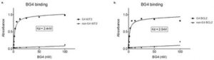 Anti-DNA G-quadruplex structures Antibody, clone BG4 
