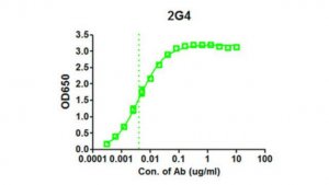 Anti-EBOV GP Antibody, clone 2G4 