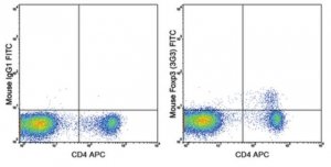 Anti-Foxp3 Antibody (mouse), FITC, clone 3G3 MABF731