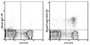 Anti-Foxp3 Antibody (mouse), PE, clone 3G3 MABF732