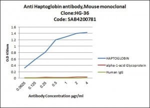 Anti-Haptoglobin antibody, Mouse monoclonal 