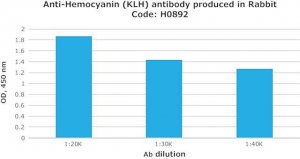 Anti-Hemocyanin (KLH) antibody produced in rabbit 