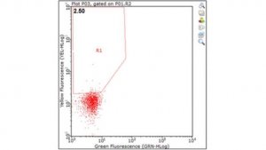 Anti-IL-2R beta (CD122) Antibody, clone TM-beta1 
