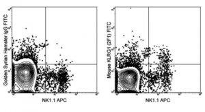 Anti-KLRG1 Antibody (mouse), FITC, clone 2F1 MABF735