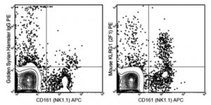 Anti-KLRG1 Antibody (mouse), PE, clone 2F1 MABF734