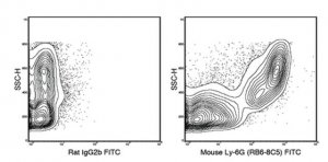 Anti-Ly-6G (mouse), FITC, clone RB6-8C5 Antibody 