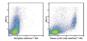Anti-Ly-6G (mouse), violetFluor 450, clone 1A8 Antibody 