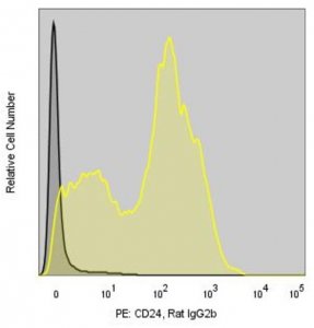 Anti-Mouse CD24 (M1/69) ColorWheel Dye-Ready mAb CWA-1054-25UL