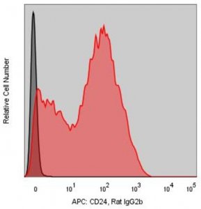 Anti-Mouse CD24 (M1/69) ColorWheel Dye-Ready mAb CWA-1054-25UL