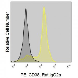 Anti-Mouse CD38 (90) ColorWheel Dye-Ready mAb CWA-1038-25UL