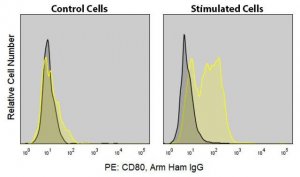 Anti-Mouse CD80 (16-10A1) ColorWheel Dye-Ready mAb CWA-1022-25UL