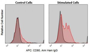 Anti-Mouse CD80 (16-10A1) ColorWheel Dye-Ready mAb CWA-1022-25UL