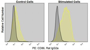 Anti-Mouse CD86/B7-2 (GL-1) ColorWheel Dye-Ready mAb CWA-1055-25UL