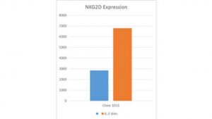 Anti-NKG2D (CD314) Antibody, clone 1D11 