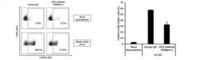 Anti-NKG2D (CD314) Antibody, clone 1D11 