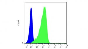Anti-NKp46 (CD335) Antibody, clone 461-G1 