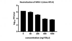 Anti-Norovirus (MNV-1) Antibody, clone 4F9.4 