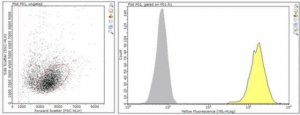 Anti-PD-1 Antibody, clone G4 