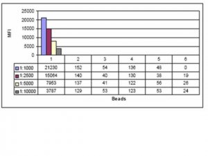 Anti-phospho-CENP-A (Ser7) Antibody, clone NL41, rabbit monoclonal 